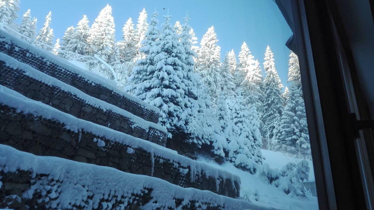 Apartments In Complex Grand Manastira Pamporovo Exterior photo