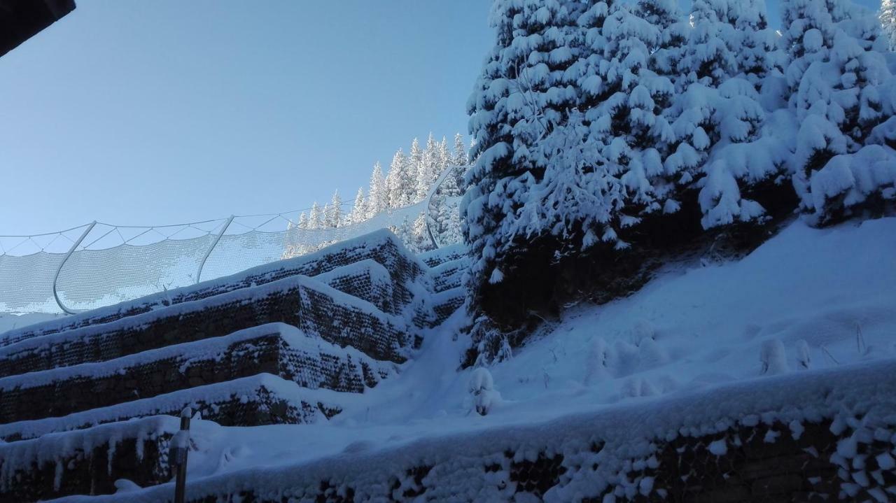 Apartments In Complex Grand Manastira Pamporovo Exterior photo